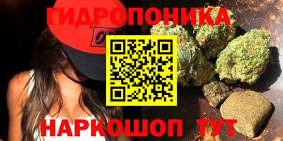 a pvp Янаул