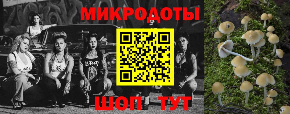 Фрязино  Псилоцибиновые грибы GOLDEN TEACHER  Вход с VPN  Псилоцибиновые грибы прущие грибы 